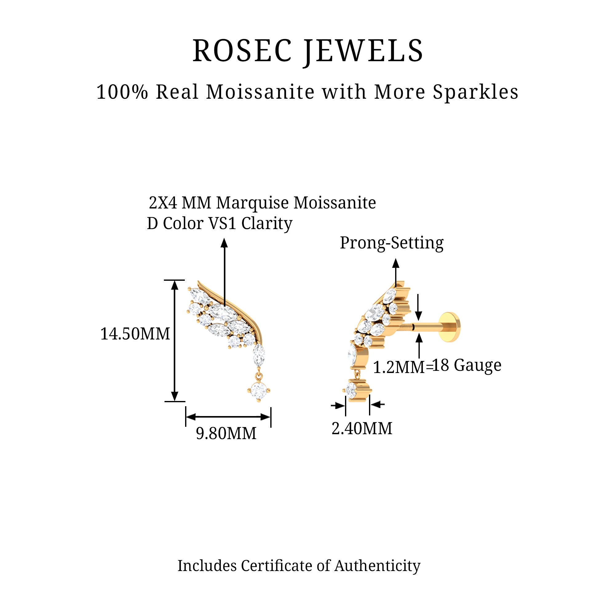 Rosec Jewels-Unique Moissanite Cluster Wing Cartilage Drop Earring